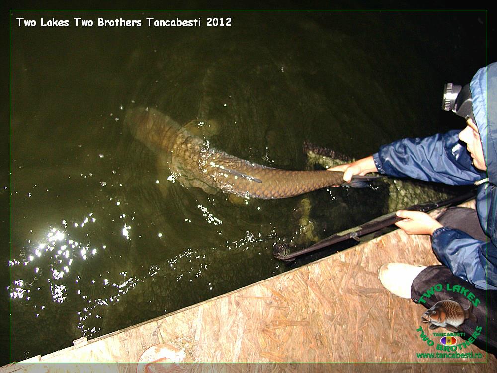 Bogdan - img1448.JPG